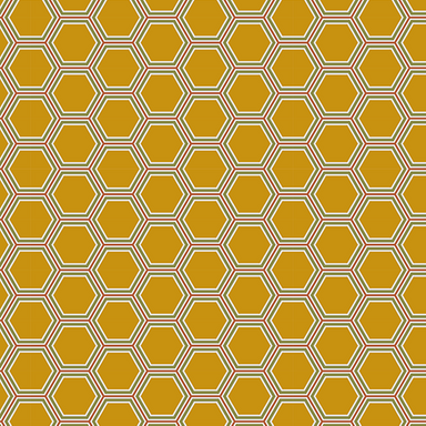 hexagonal-hive1-6